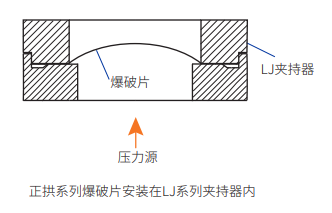 正拱带槽爆破片安全装置安装示意图.png