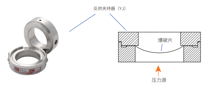 反拱夹持器安装示意图.png